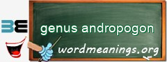 WordMeaning blackboard for genus andropogon